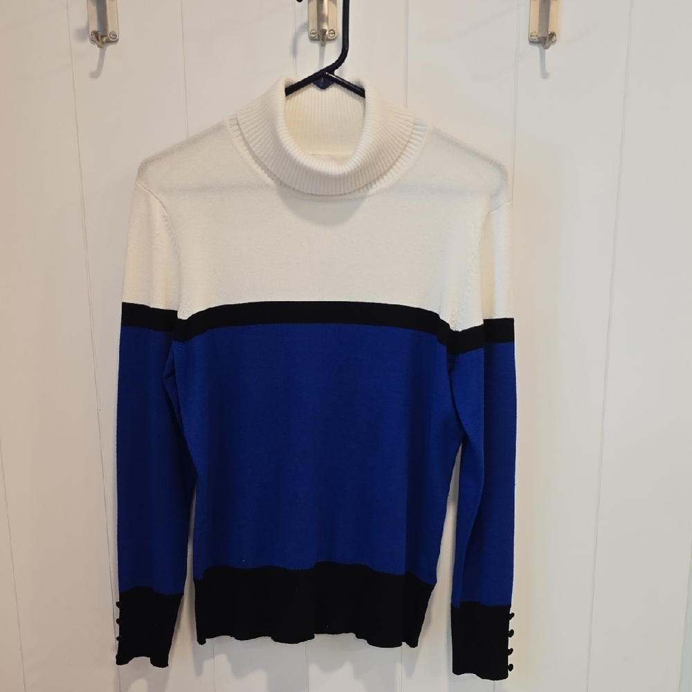 Cupio Cream, Blue, and Black Color Block Sweater